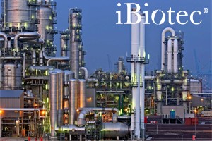 TEC INDUSTRIES fabricant de solvants industriels alternatifs pour le remplacement des CMR propose une gamme &eacute;tendue. Substituts au dichlorom&eacute;thane, &agrave; l&rsquo;ac&eacute;tone, au xyl&egrave;ne, au tolu&egrave;ne. Solvants sans pictogramme de danger, sans COV, sans PRP. Solvants biod&eacute;gradables. Solvants verts biosourc&eacute;s .